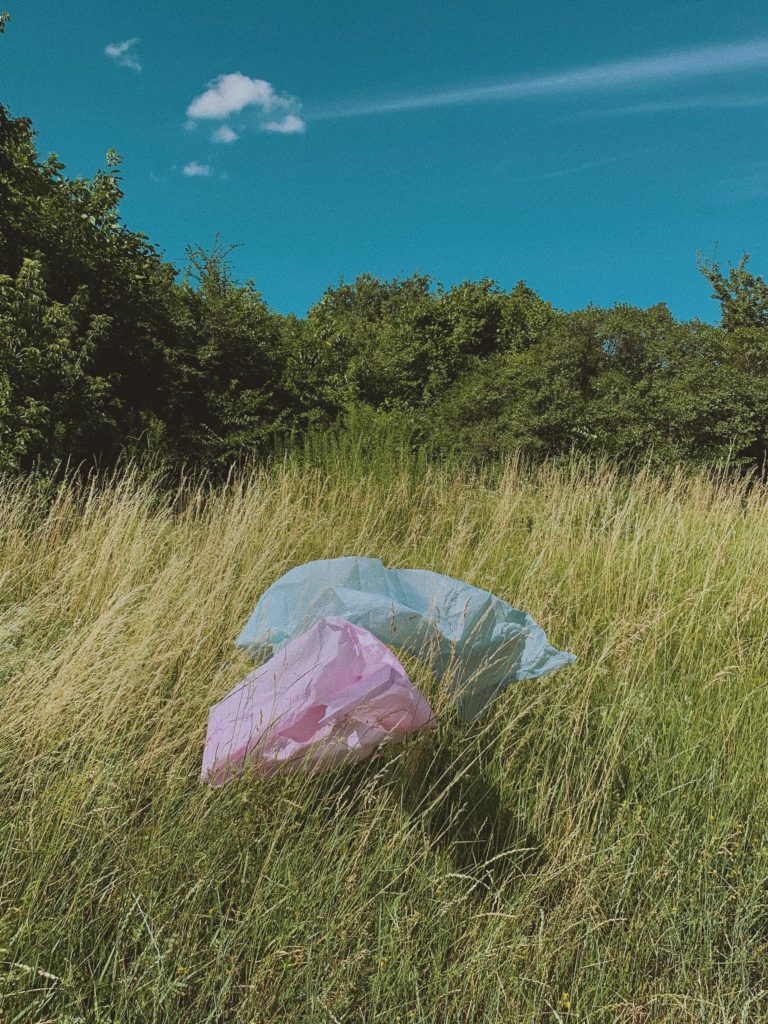 save the planet, reusable bags